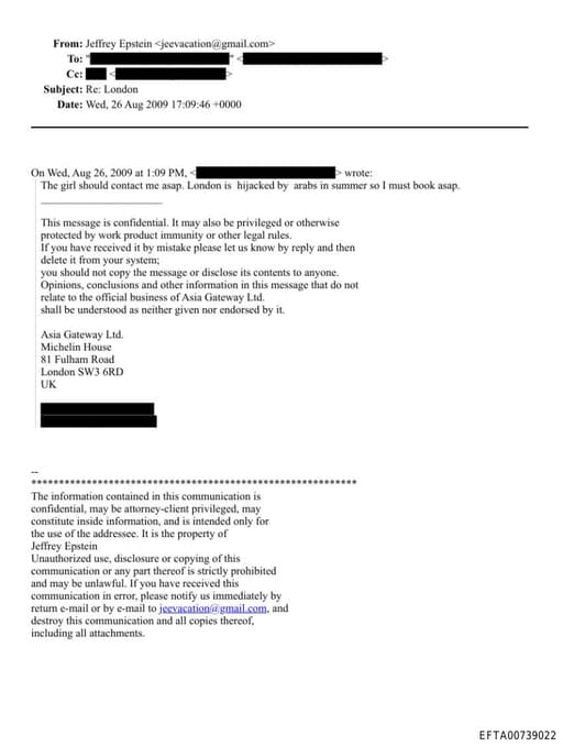 Preview of EFTA00739022