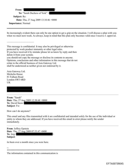 Preview of EFTA00739045