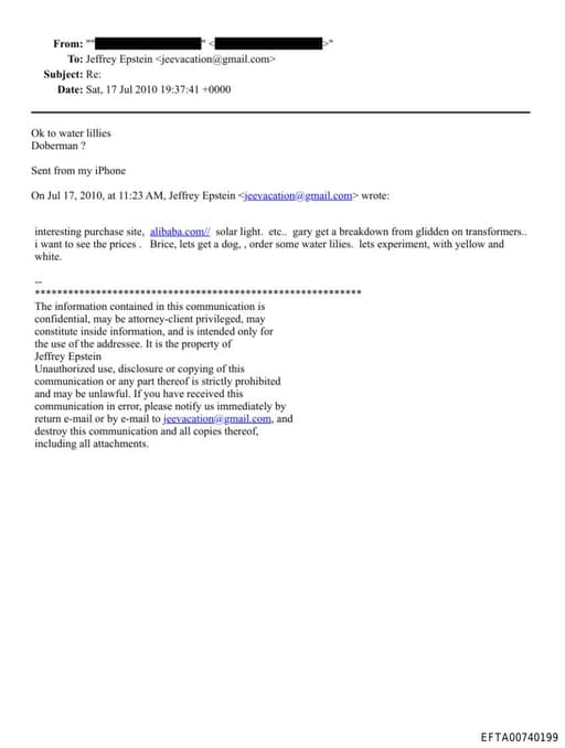 Preview of EFTA00740199