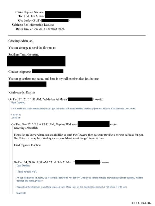 Preview of EFTA00441823