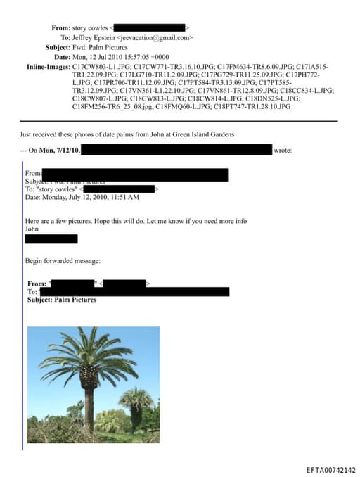 Preview of EFTA00742142