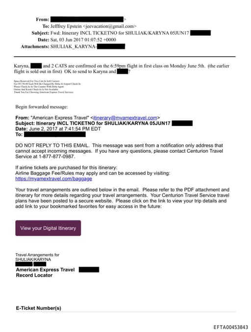 Preview of EFTA00453843