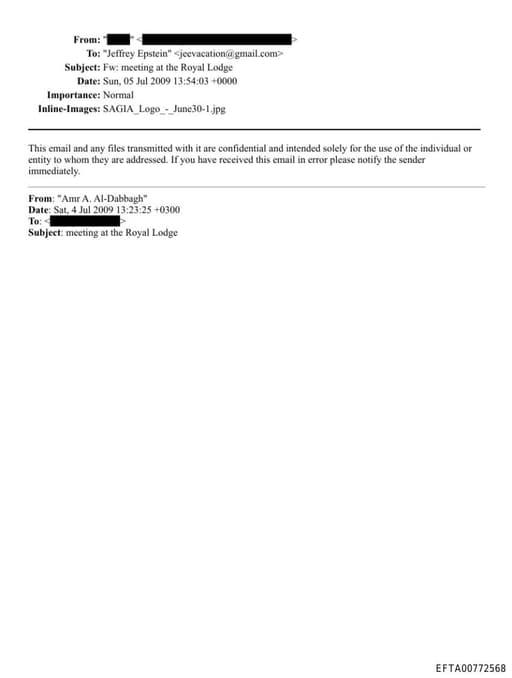 Preview of EFTA00772568