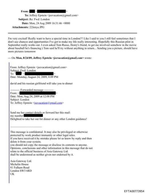 Preview of EFTA00773954