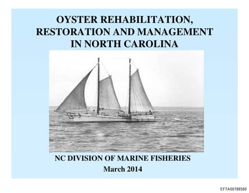 Preview of EFTA00788580