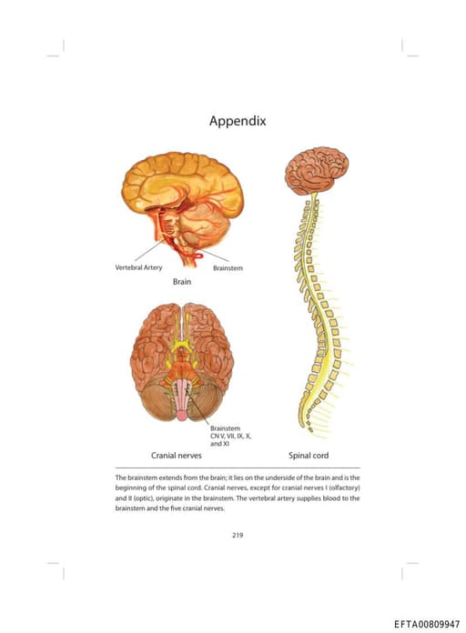 Preview of EFTA00809947