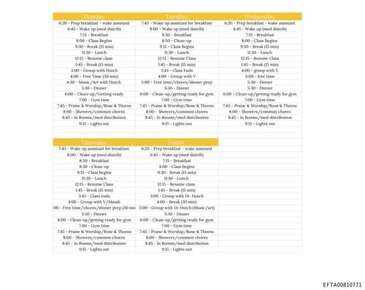 Preview of EFTA00810771