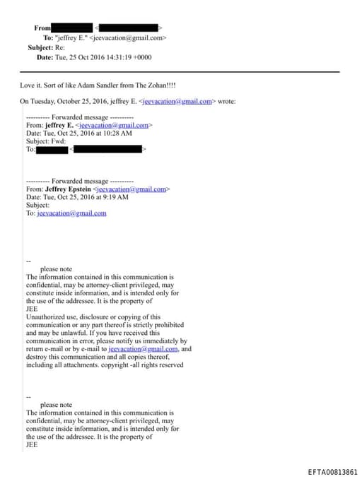 Preview of EFTA00813861