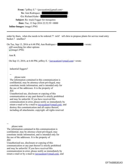 Preview of EFTA00818143