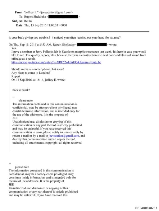 Preview of EFTA00818287