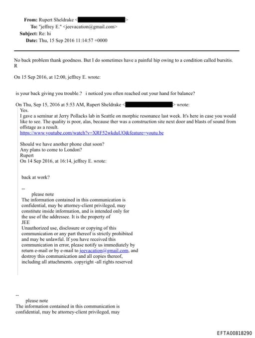 Preview of EFTA00818290