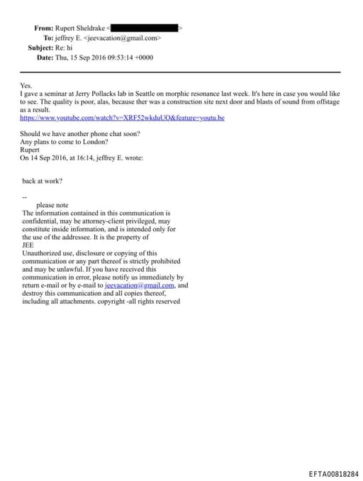 Preview of EFTA00818284