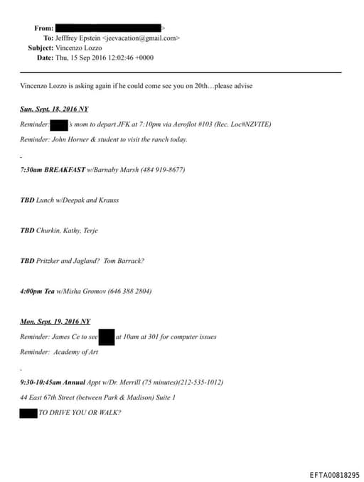 Preview of EFTA00818295