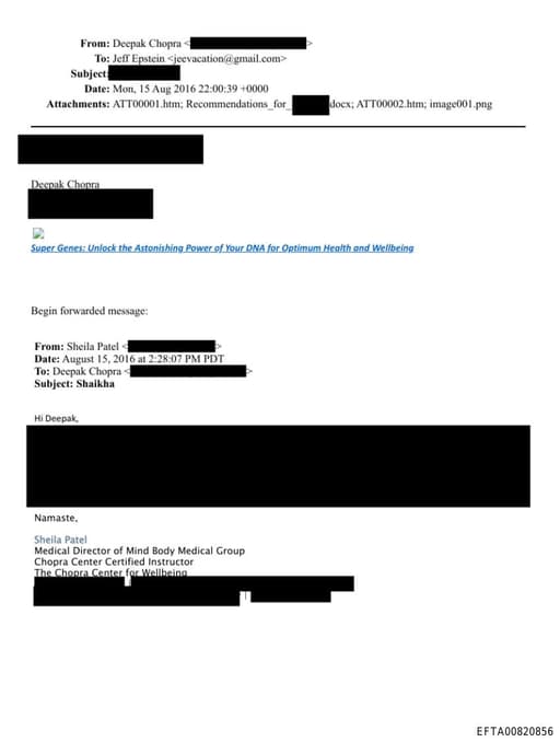 Preview of EFTA00820856