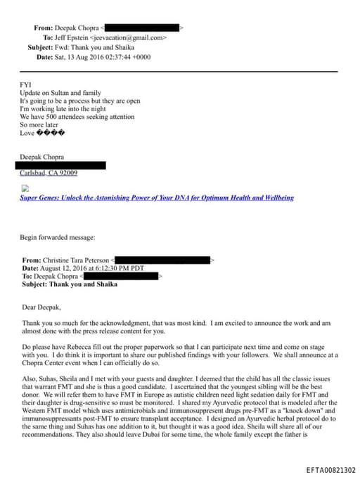 Preview of EFTA00821302