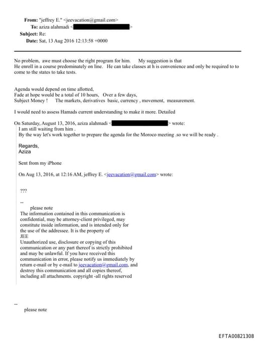 Preview of EFTA00821308