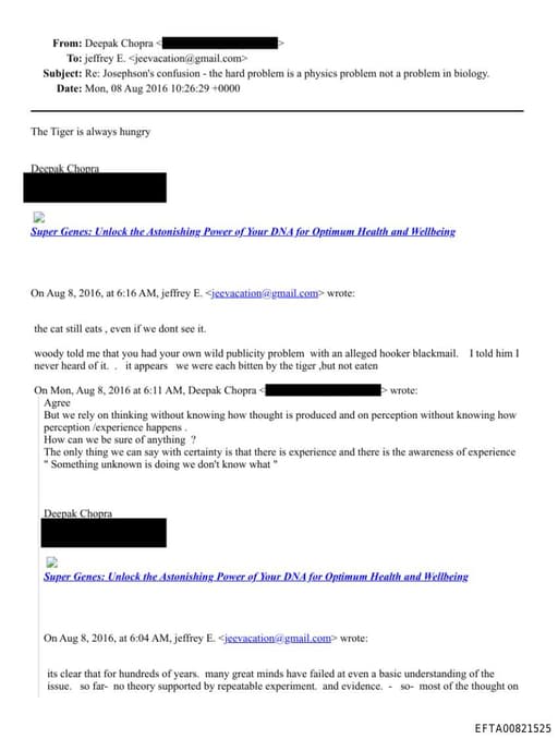 Preview of EFTA00821525