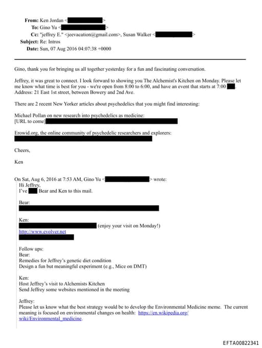 Preview of EFTA00822341