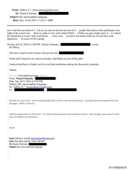 Preview of EFTA00824070