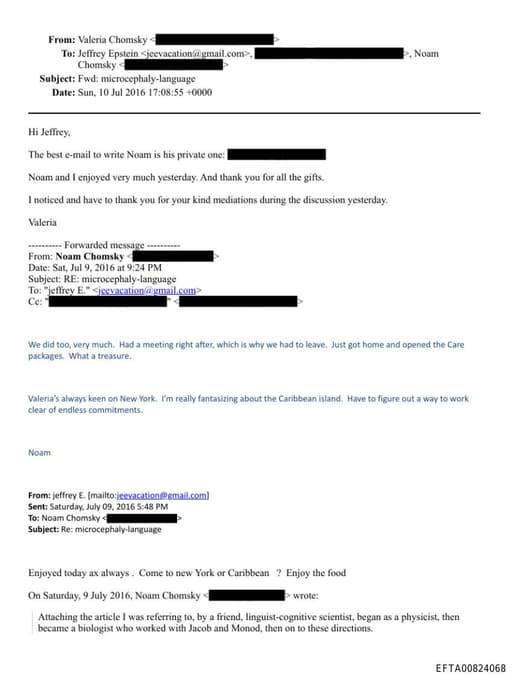 Preview of EFTA00824068