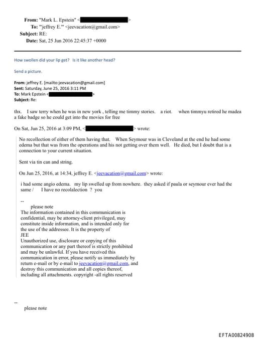 Preview of EFTA00824908