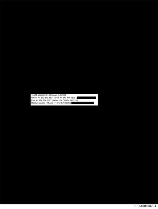 Preview of EFTA00828204