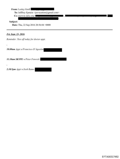 Preview of EFTA00317492