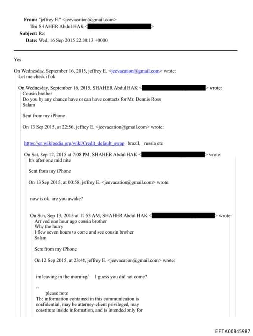 Preview of EFTA00845987