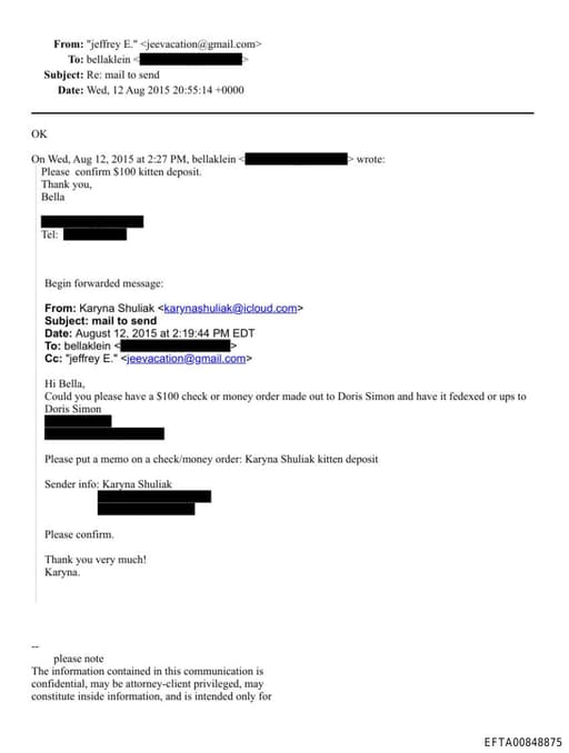 Preview of EFTA00848875