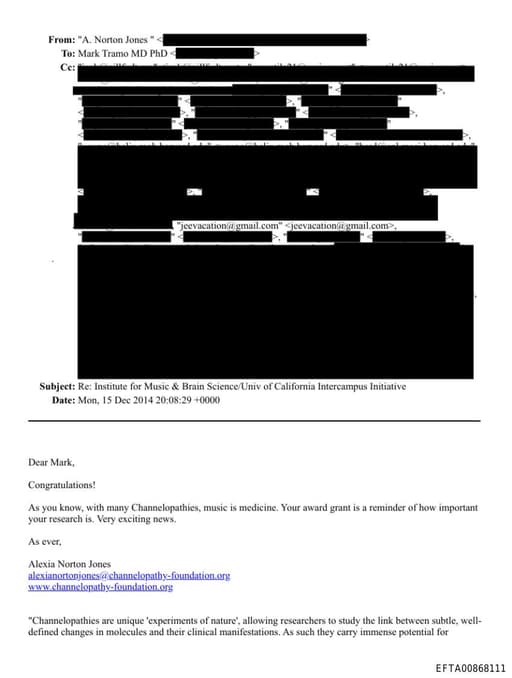 Preview of EFTA00868111