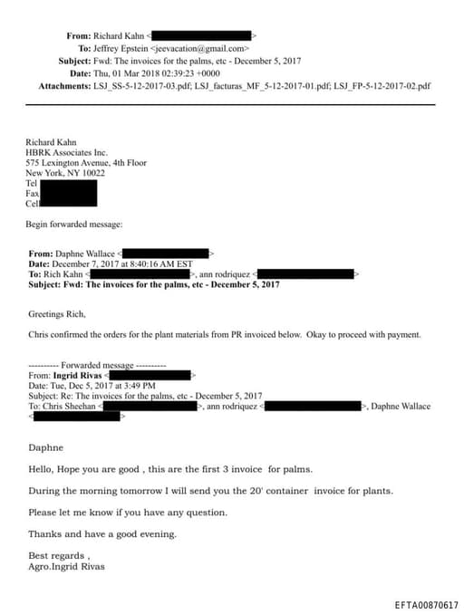 Preview of EFTA00870617