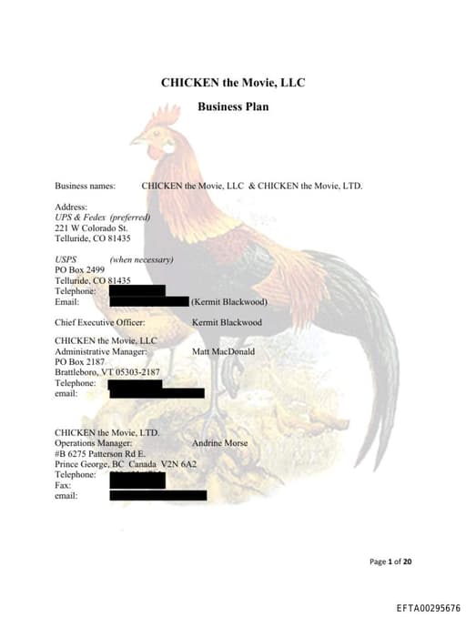 Preview of EFTA00295676