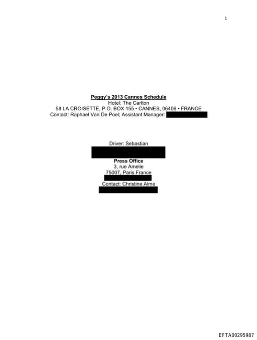 Preview of EFTA00295987