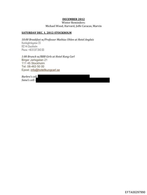 Preview of EFTA00297990