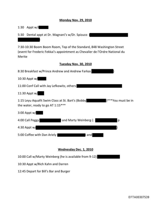 Preview of EFTA00307539