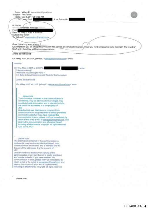 Preview of EFTA00313704