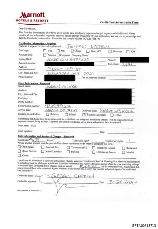 Preview of EFTA00313713