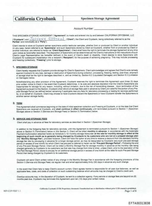 Preview of EFTA00313838