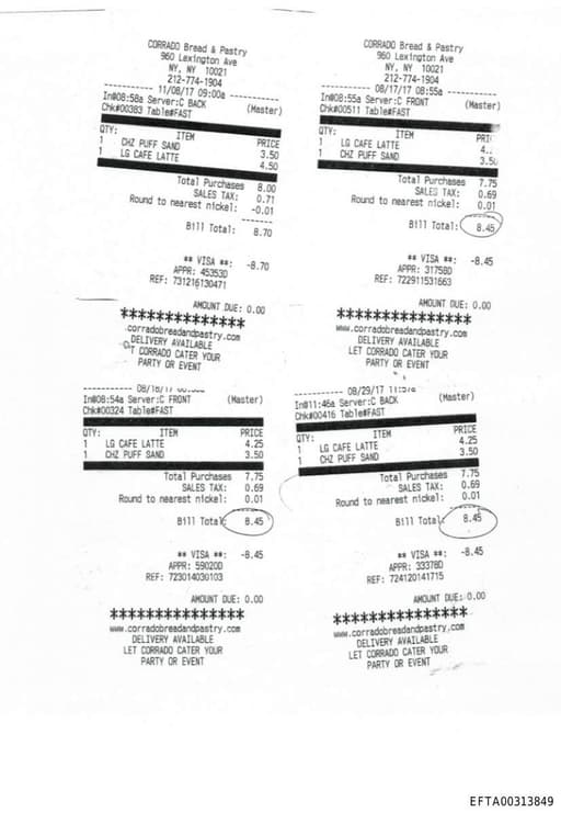 Preview of EFTA00313849