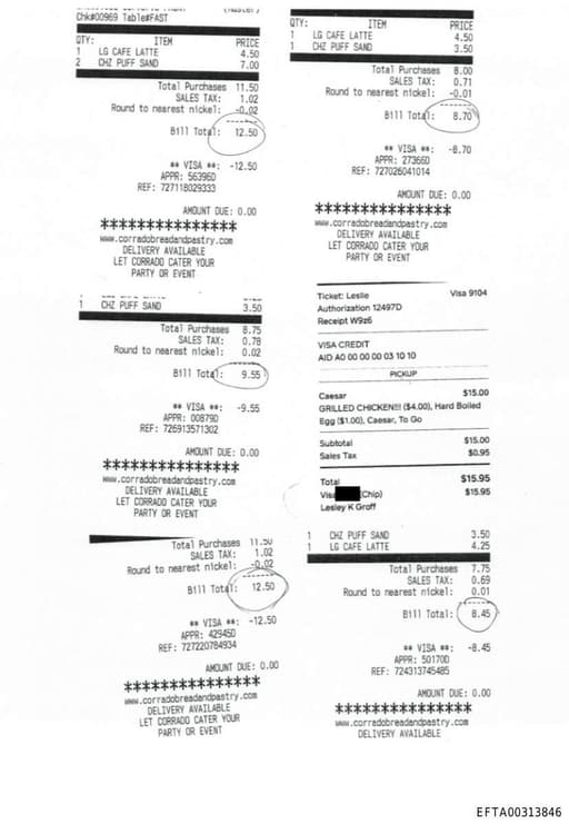 Preview of EFTA00313846