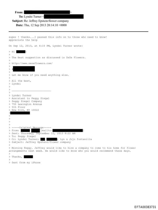 Preview of EFTA00383731