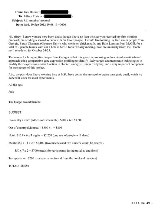 Preview of EFTA00404936