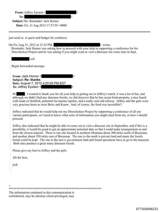 Preview of EFTA00406131