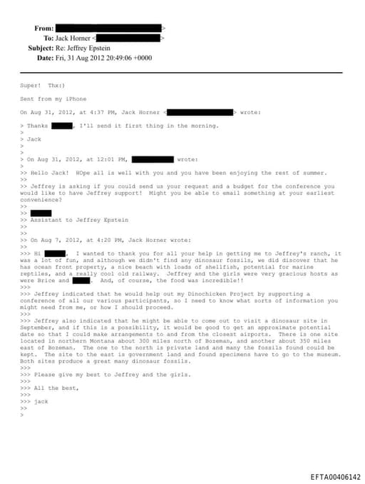 Preview of EFTA00406142