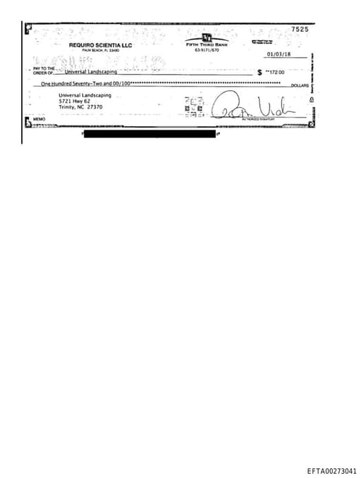 Preview of EFTA00273041