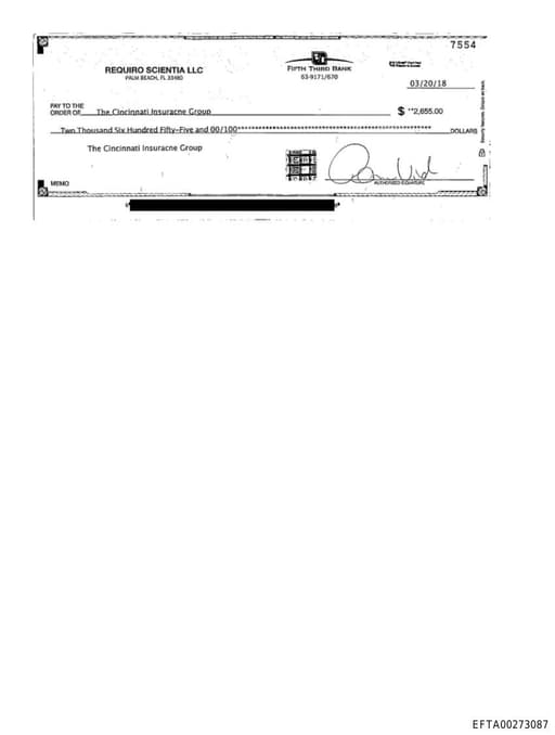 Preview of EFTA00273087