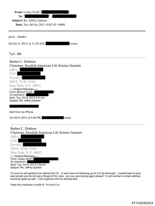 Preview of EFTA00381810