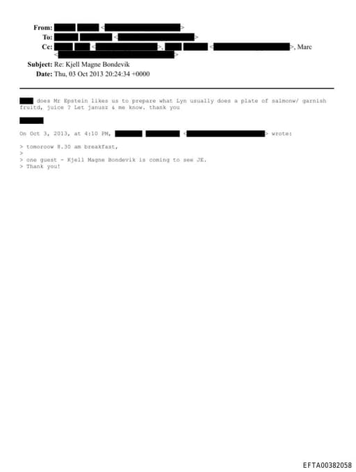 Preview of EFTA00382058