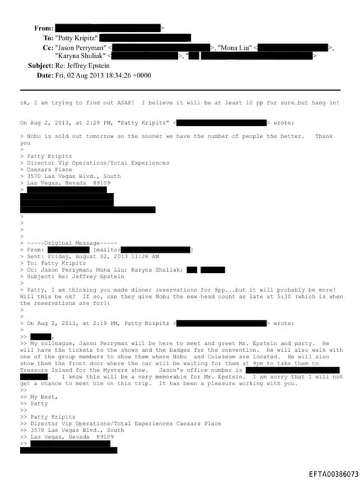 Preview of EFTA00386073