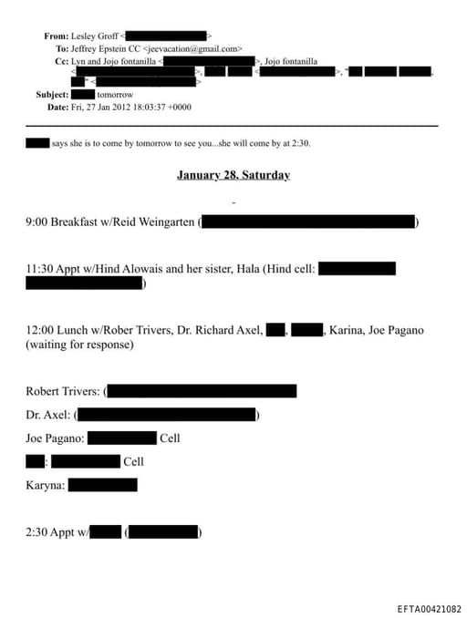 Preview of EFTA00421082